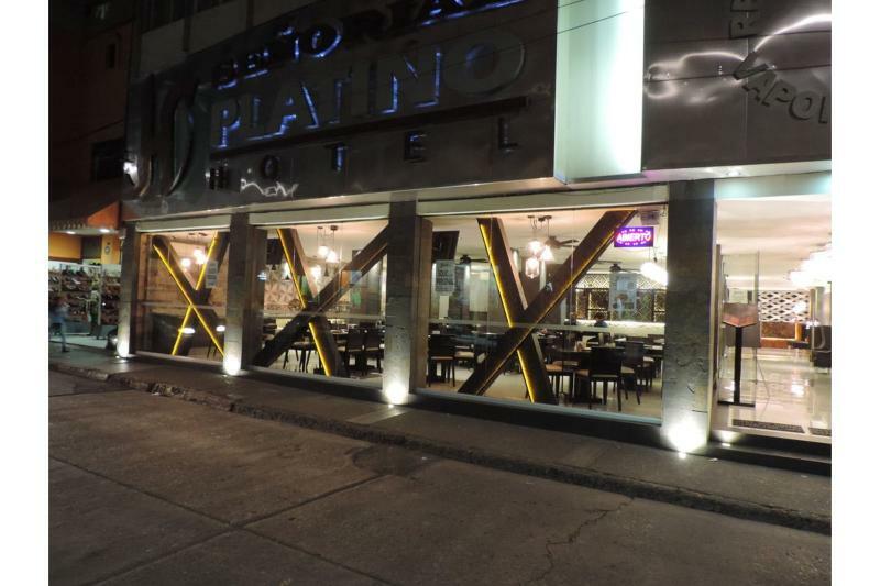 Hotel Senorial Platino 레온 외부 사진